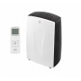 Кондиционер мобильный Electrolux EACM-18 HP/N3